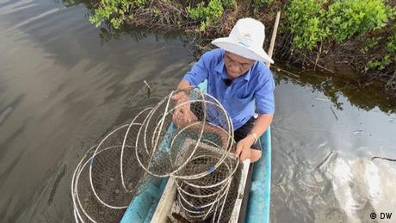 Vietnams Mekong-Delta droht zu versalzen