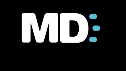 Discovery - Lemon Twigs