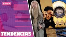 Los Potterhead dicen adiós al actor #MichaelGambon quien dio vida a Albus Dumbledore 