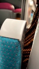 Paris'te sinema ve metrolarda tahtakurusu alarmı