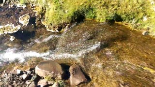 LAGUNA LOS PATOS,TERMAS EL PLOMO.