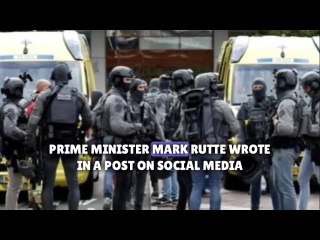 Gunman kills three in twin Rotterdam shootings - Dutch police