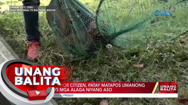 Lalaking senior citizen, patay matapos umanong atakihin ng mga alaga niyang aso | UB