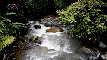 mqn-Emprendedores le invitan a disfrutar del turismo rural en el sur del país-280923