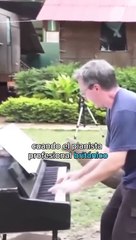 Pianista profesional toca para elefantes ancianos