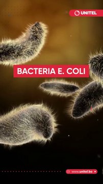 Según el informe de Monitoreo de Calidad de Agua Potable en las Redes de Distribución de esta ciudad presentado por la UMSA existen riesgos