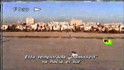 MTV DisMissed Miami | Jason, Dolores & Tracy - Kymie, Jack & Joe / Season 3