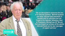 ‘Harry Potter’ Star Sir Michael Gambon Who Played Dumbledore Dead at 82(1)