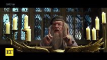 Michael Gambon, Dumbledore Actor in 'Harry Potter' Films, Dead at 82