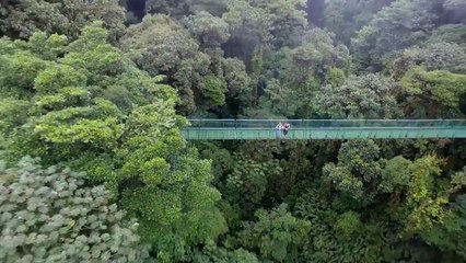 ext-1-viva-la-experiencia-verde-monteverde-lanza-campaña-con-precios-especial-para-ticos-280923