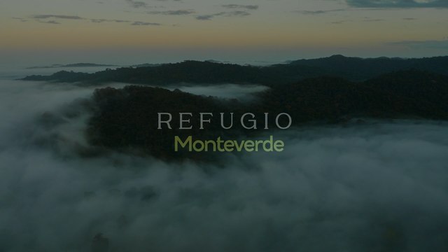 ext-2-viva-la-experiencia-verde-monteverde-lanza-campaña-con-precios-especial-para-ticos-280923