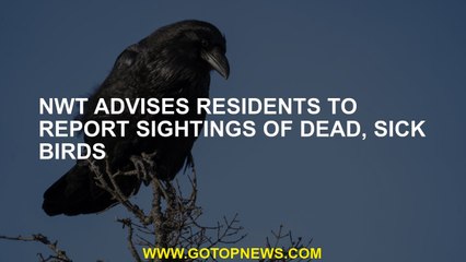 NWT advises residents to report sightings of dead, sick birds
