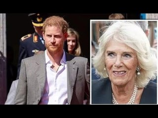 Famiglia reale LIVE: il principe Harry "ha detto cose davvero cattive su Camilla", afferma l'autore