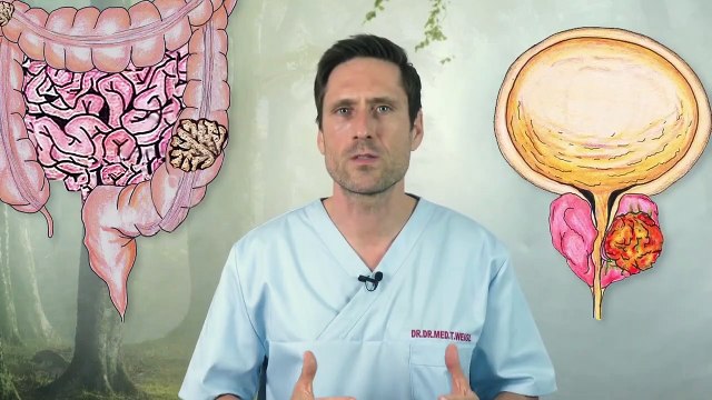 Diese Lebensmittel machen Krebs Krebs durch falsche Ernährung Darauf sollten Sie achten-