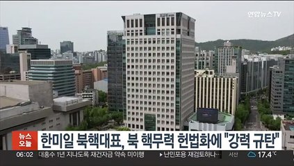 한미일 북핵대표, 북 핵무력 헌법화에 "강력 규탄"