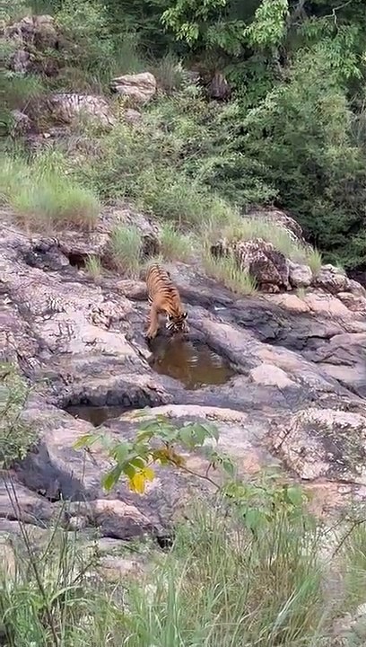 अब मंगलवार को बंद रहेंगे एक से पांच जोन, बुधवार को छह से दस में नहीं होगा पर्यटन