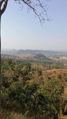 Hutan gersang di musim kemarau