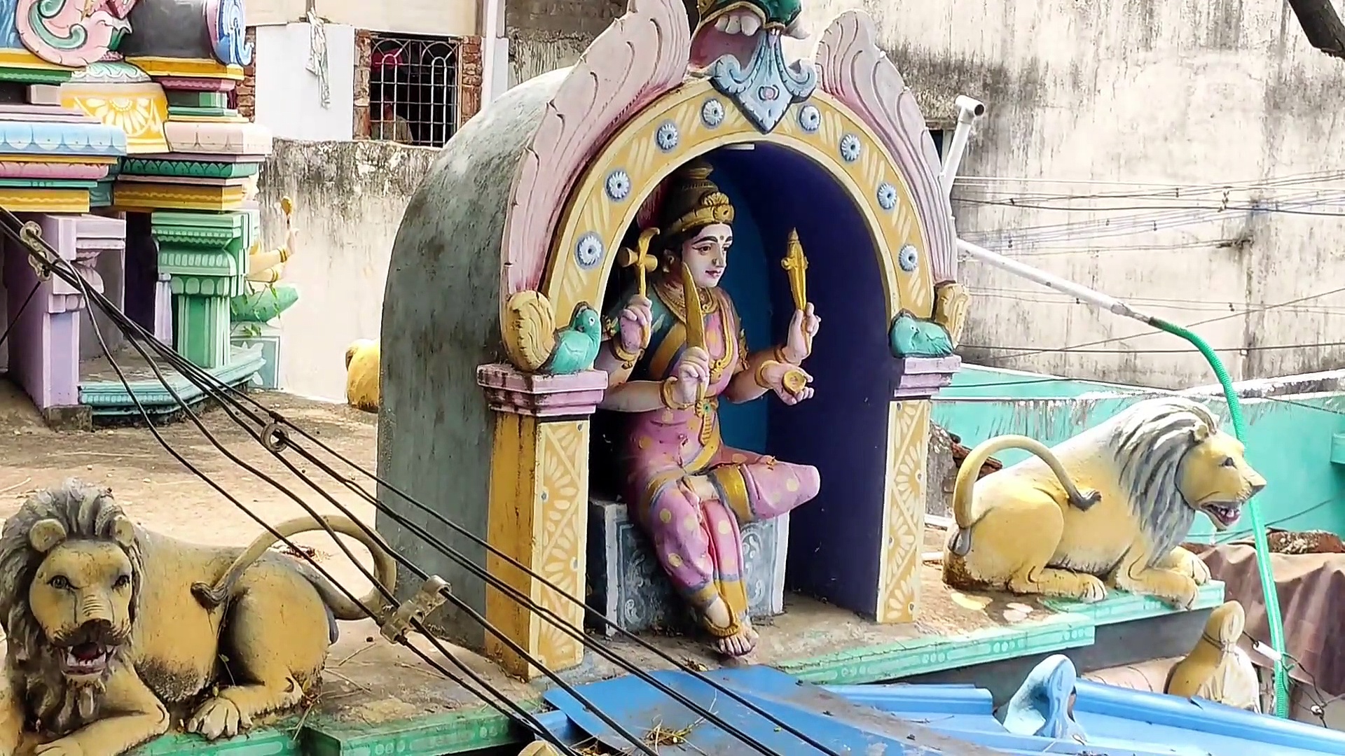 அது எப்படி? வேப்ப மரத்தின் உச்சியில் இருந்து வளரும் அரசமரம்; பக்தர்கள் பரவசம்