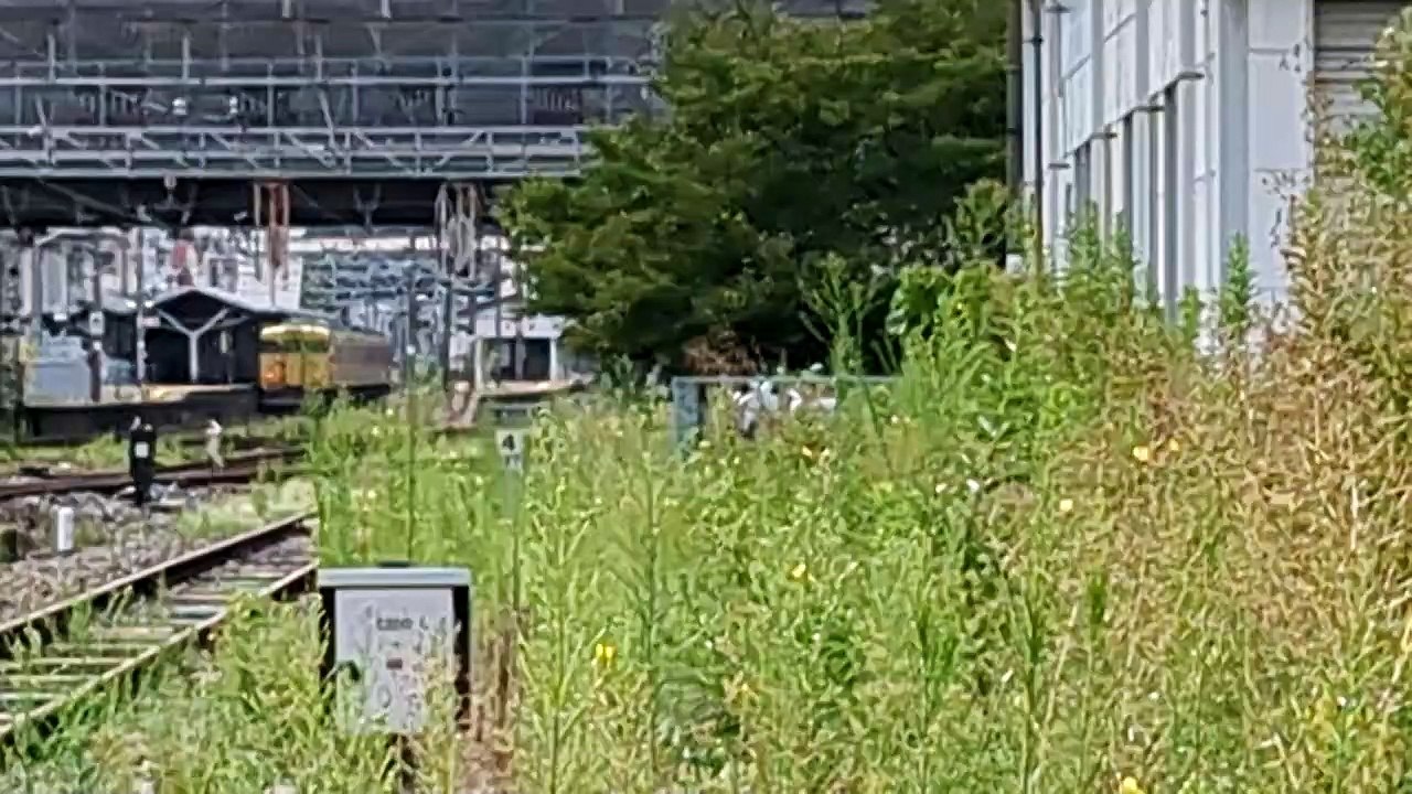 PXL_20230818_084605 67列車・67レ Train 67, 67 re.