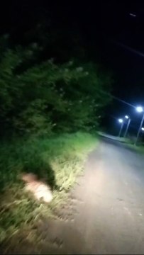 Jarakh in Thermal complex, employees in panic