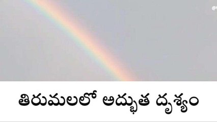 తిరుపతి జిల్లా: తిరుమలలో అద్భుత దృశ్యం