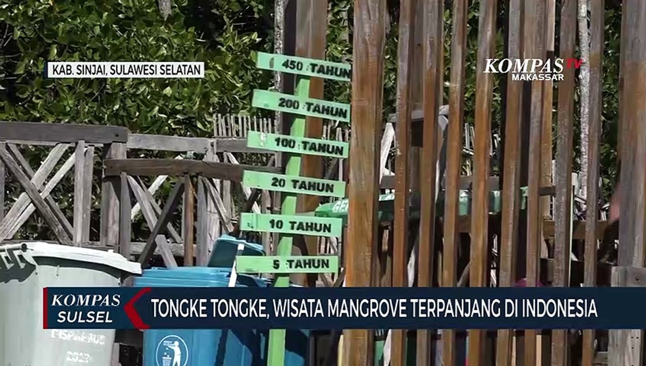 Tongke Tongke, Wisata Mangrove Terpanjang di Indonesia