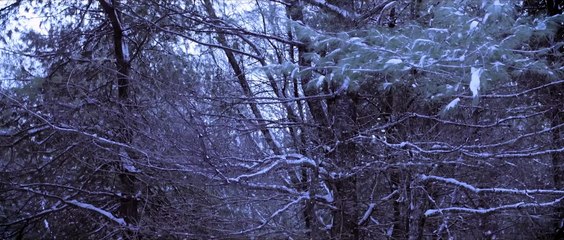 BONE COLD Official Trailer Directed by Billy Hanson Starring Jonathan Stoddard Matt Munroe