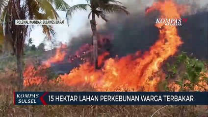 15 Hektar Lahan Perkebunan Warga Terbakar