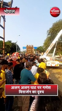 अलग अलग घाट पर गणेश विसर्जन का दृश्य