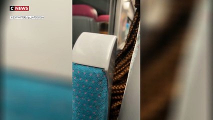 La mairie de Paris réclame au gouvernement un plan contre les punaises de lit, ayant constaté une "recrudescence importante de cette espèce parasite" avant les  Olympiques de 2024