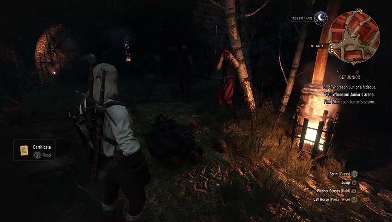 the-witcher-3-wild-hunt-in-ciri-s-footsteps-novigrad-part-13-video-dailymotion