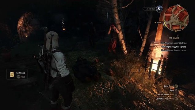 The Witcher 3 : Wild Hunt | In Ciri's footsteps : Novigrad part 13