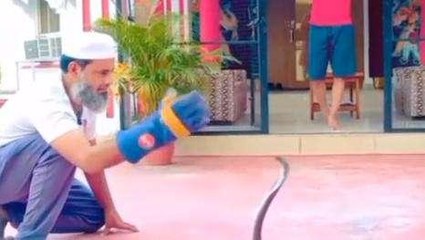 श्योपुर कलेक्टर के बंगले में घुसा कोबरा सांप, कर्मचारियों में मचा हड़कंप