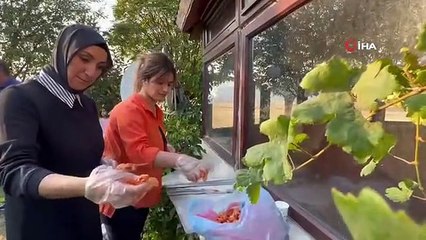 Yüksekovalı öğretmenler kurul toplantısını mangal başında yaptı