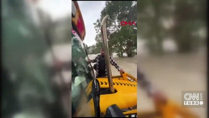 Ağaca sarılarak hayata tutundu