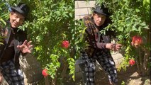 Dharmendra California में Farming करते Video Viral, कहा- America में Aawaargi...| Boldsky