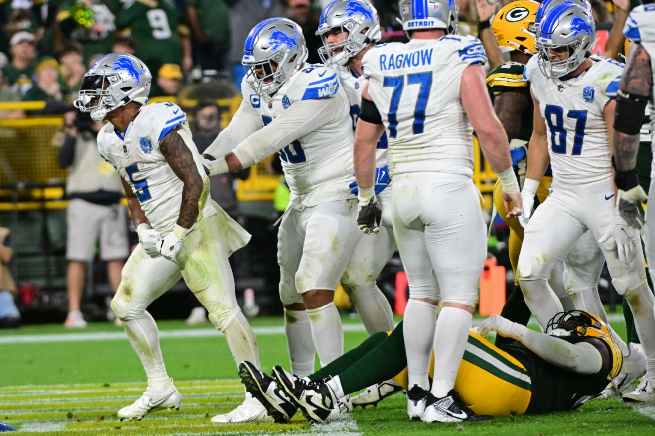 WEB RESUME LIONS PACKERS
