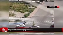 Kayseri’de sokak köpeği saldırısı