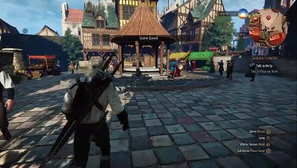 The Witcher 3 : Wild Hunt | In Ciri's footsteps : Novigrad part 8