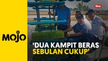 Mat Sabu saran beli beras ikut keperluan keluarga