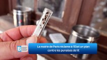 La mairie de Paris réclame à l'Etat un plan contre les punaises de lit