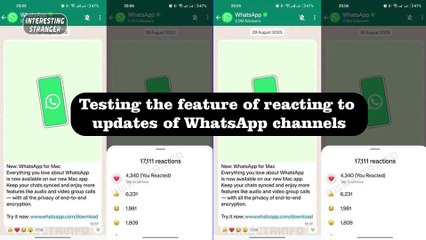 Testing the feature of reacting to updates of WhatsApp channels