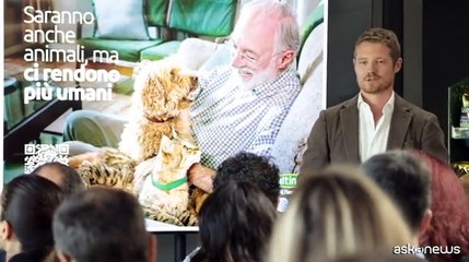 Un'indagine conferma: cani e gatti ci rendono pi? umani