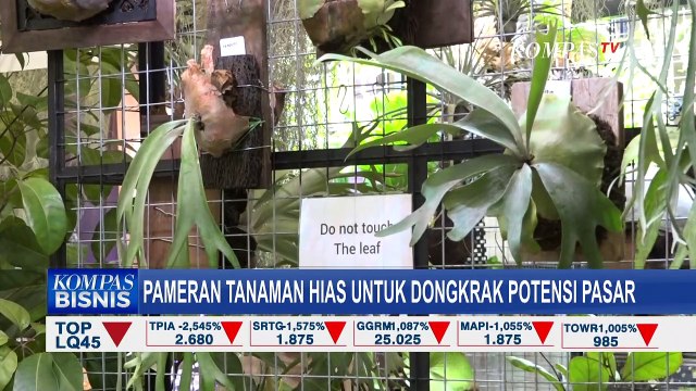 Pameran Floriculture Indonesia International Expo 2023 Digelar di ICE BSD hingga 1 Oktober