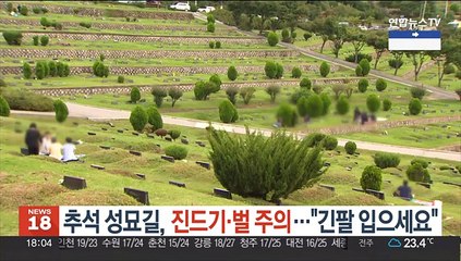 추석 성묘길, 진드기·벌 주의해야…"긴팔 입으세요"
