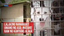 Lalaking nananakit umano ng aso, inatake raw ng kanyang alaga | GMA Integrated Newsfeed