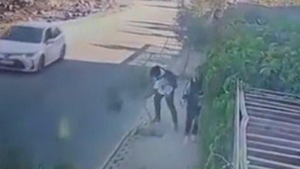 Yüzünü çarptığı zeytin fidanının dalını kırdı