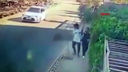 Lise öğrencisi zeytin fidanını kırdı