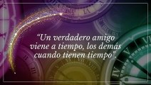 15 frases bonitas sobre la amistad verdadera