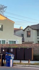 Neighbor's Nosy Dog Jumps to See Over Wall